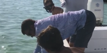 Viral: Video Shows Man Bitten By Shark