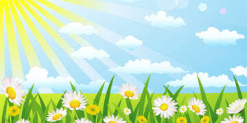 Dry weather is expected in J&K for Next 24 hours MeT