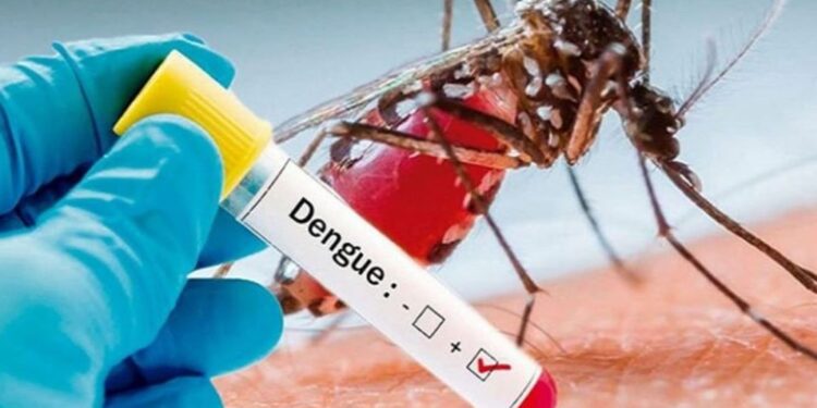 169 Dengue Cases In Delhi, Highest Since 2017