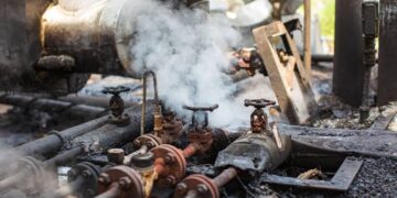 121 Women Hospitalised After Andhra Factory Gas Leak